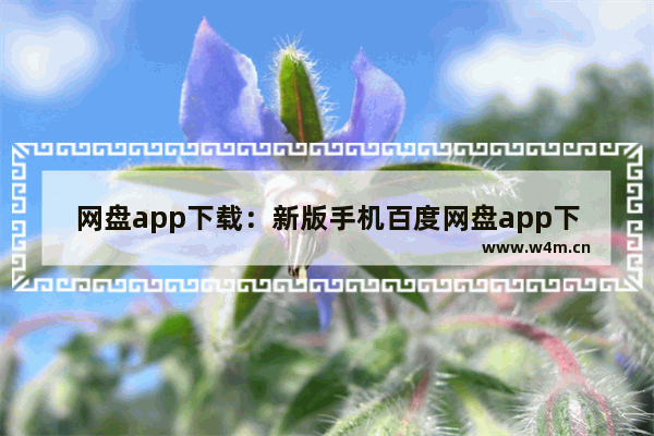 网盘app下载：新版手机百度网盘app下载