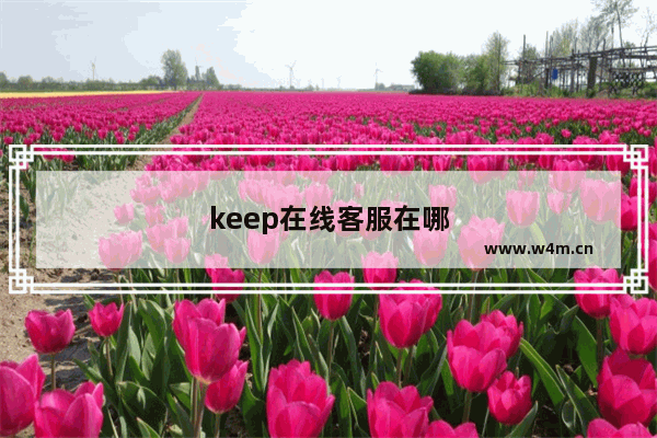 keep在线客服在哪