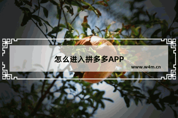 怎么进入拼多多APP