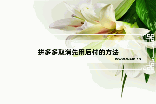 拼多多取消先用后付的方法