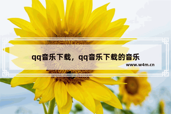 qq音乐下载，qq音乐下载的音乐