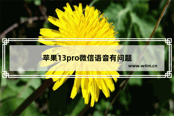 苹果13pro微信语音有问题