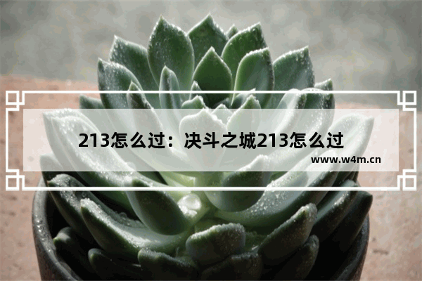 213怎么过：决斗之城213怎么过