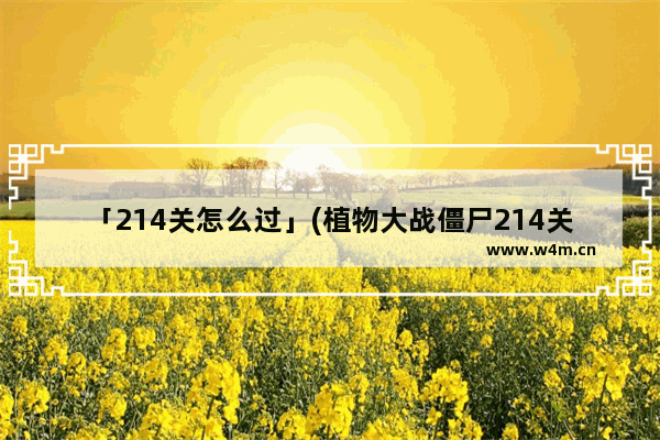 「214关怎么过」(植物大战僵尸214关怎么过海盗港湾)