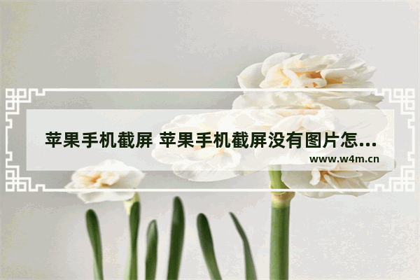 苹果手机截屏 苹果手机截屏没有图片怎么回事