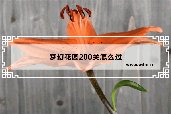 梦幻花园200关怎么过