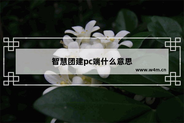 智慧团建pc端什么意思