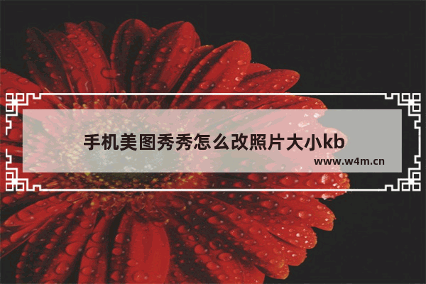 手机美图秀秀怎么改照片大小kb