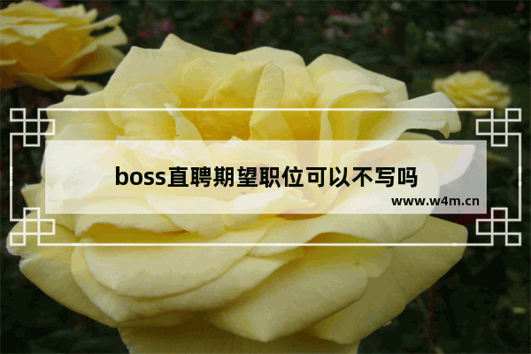 boss直聘期望职位可以不写吗