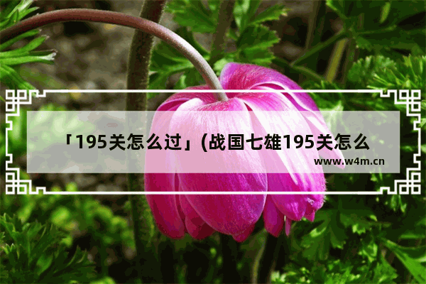 「195关怎么过」(战国七雄195关怎么过图解法)