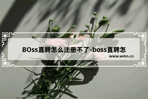 BOss直聘怎么注册不了-boss直聘怎么注册不了新用户怎么办