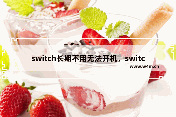 switch长期不用无法开机，switch长期不用无法开机充电灯不亮