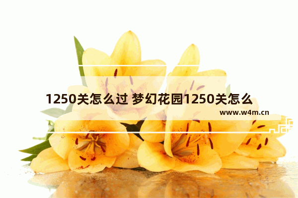 1250关怎么过 梦幻花园1250关怎么过