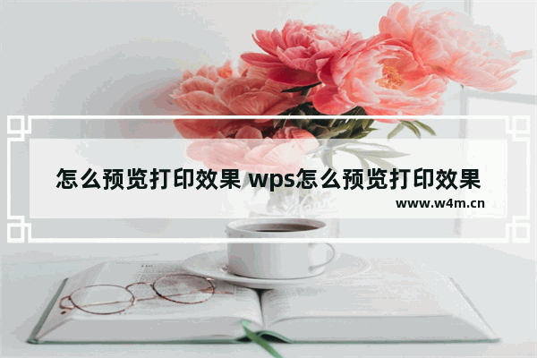 怎么预览打印效果 wps怎么预览打印效果偏左怎么办