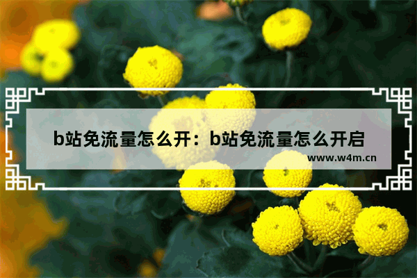 b站免流量怎么开：b站免流量怎么开启