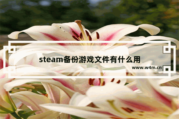 steam备份游戏文件有什么用