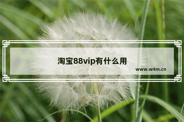 淘宝88vip有什么用