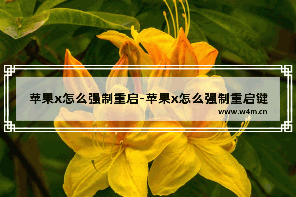 苹果x怎么强制重启-苹果x怎么强制重启键在哪