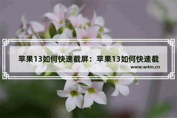 苹果13如何快速截屏：苹果13如何快速截屏双击那种