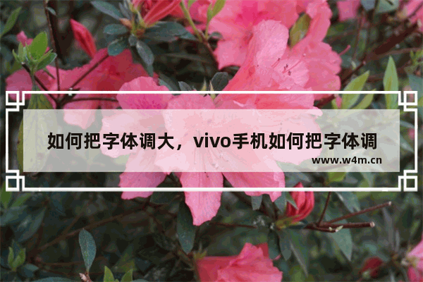 如何把字体调大，vivo手机如何把字体调大