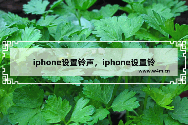 iphone设置铃声，iphone设置铃声后还是原始铃声