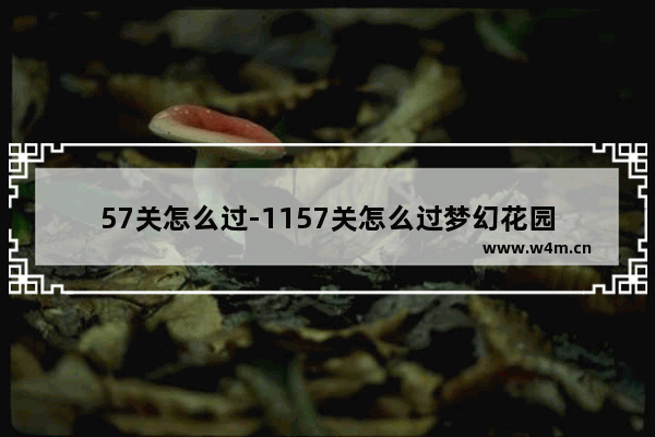 57关怎么过-1157关怎么过梦幻花园