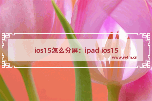 ios15怎么分屏：ipad ios15怎么分屏