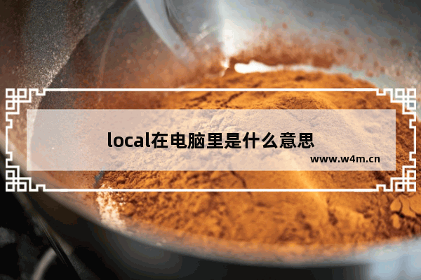 local在电脑里是什么意思