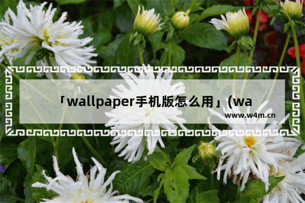 「wallpaper手机版怎么用」(wallpaper手机版怎么用透视壁纸)