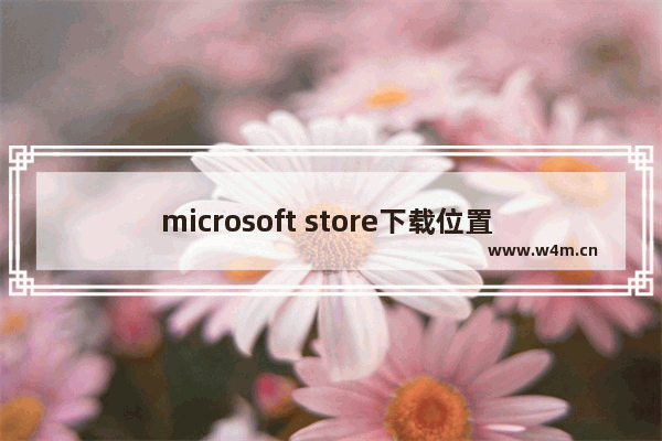 microsoft store下载位置 笔记本microsoft store下载位置