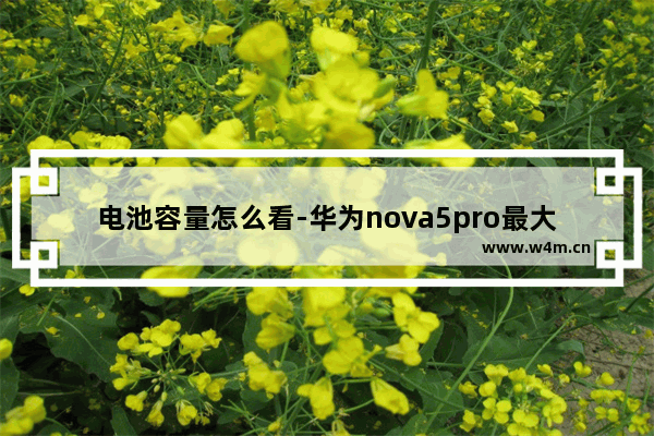 电池容量怎么看-华为nova5pro最大电池容量怎么看