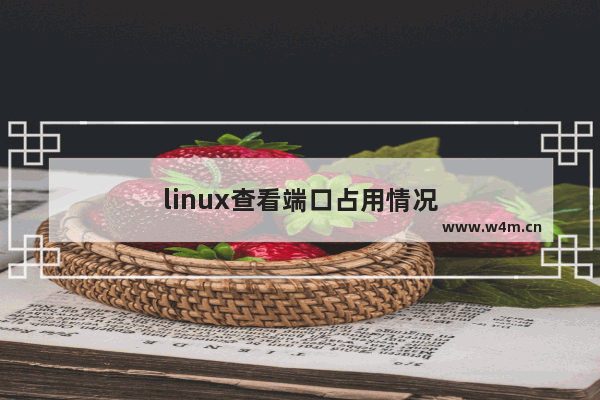 linux查看端口占用情况