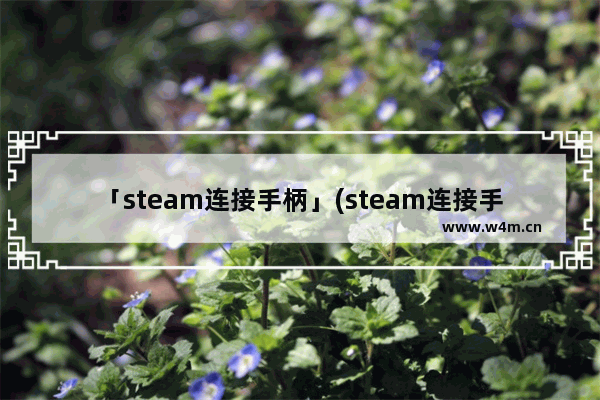 「steam连接手柄」(steam连接手柄进游戏没有用)