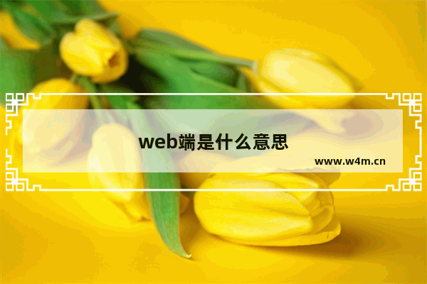 web端是什么意思