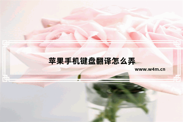 苹果手机键盘翻译怎么弄