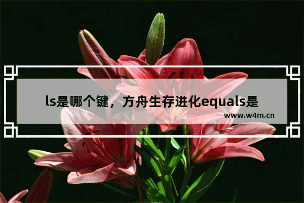 ls是哪个键，方舟生存进化equals是哪个键