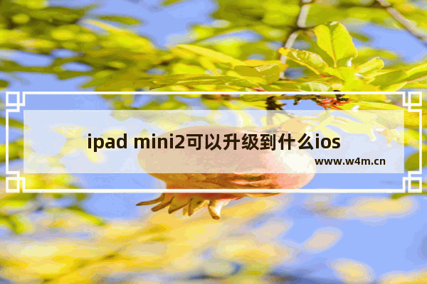 ipad mini2可以升级到什么ios版本