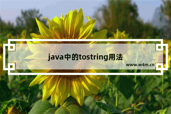 java中的tostring用法