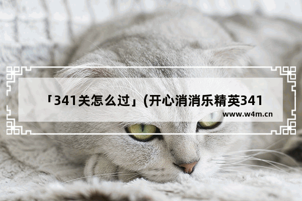 「341关怎么过」(开心消消乐精英341关怎么过关)