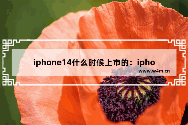 iphone14什么时候上市的：iphone14什么时候上市的l