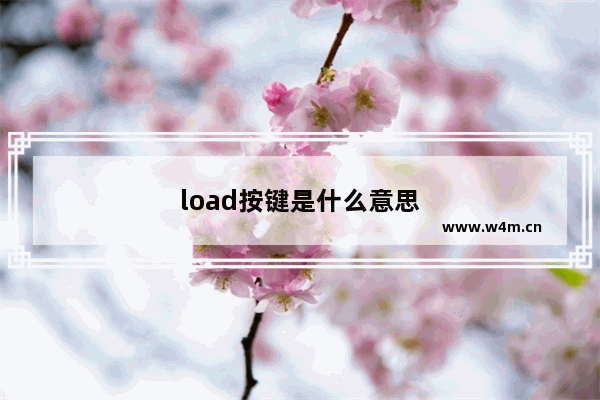 load按键是什么意思