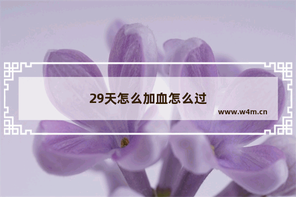 29天怎么加血怎么过