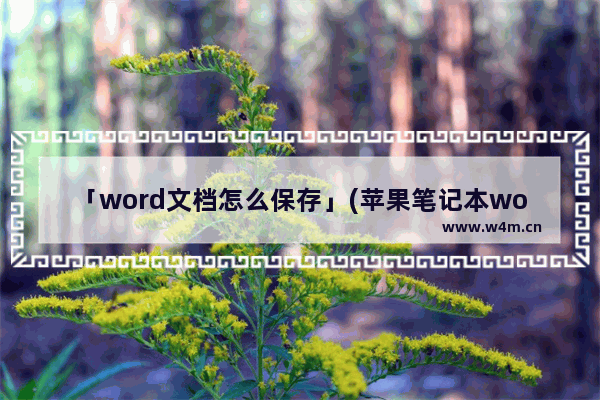 「word文档怎么保存」(苹果笔记本word文档怎么保存到桌面)