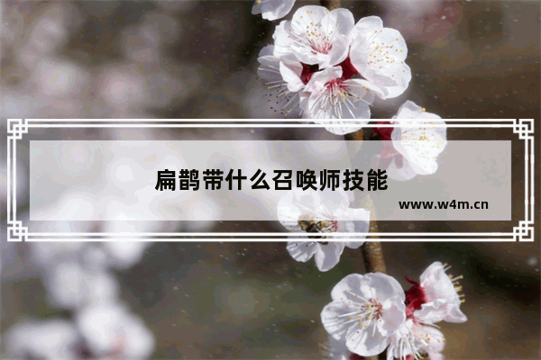 扁鹊带什么召唤师技能