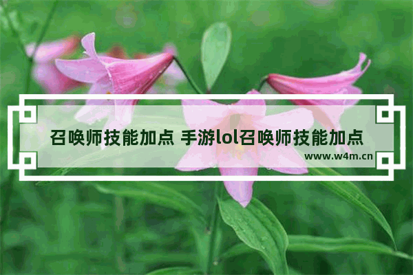 召唤师技能加点 手游lol召唤师技能加点