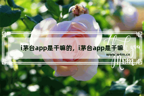 i茅台app是干嘛的，i茅台app是干嘛的?安全吗?会泄露个人信息吗?