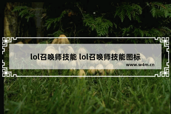 lol召唤师技能 lol召唤师技能图标