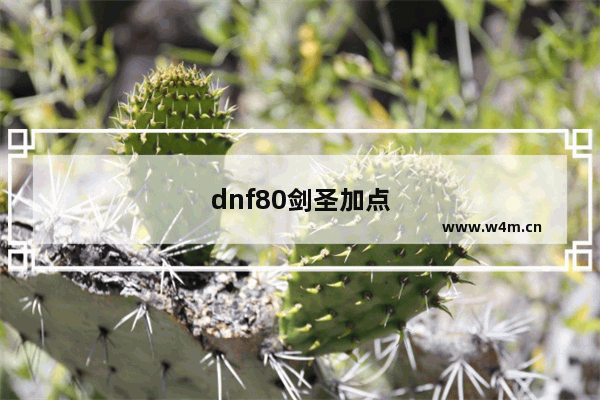 dnf80剑圣加点