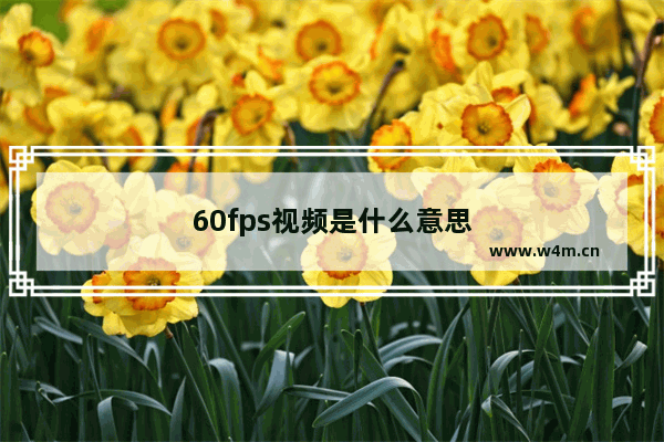 60fps视频是什么意思