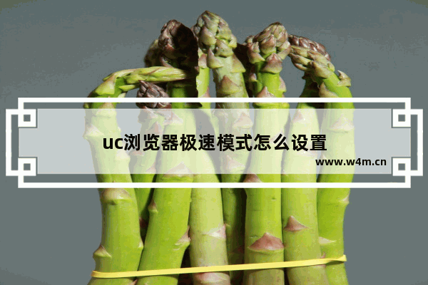 uc浏览器极速模式怎么设置